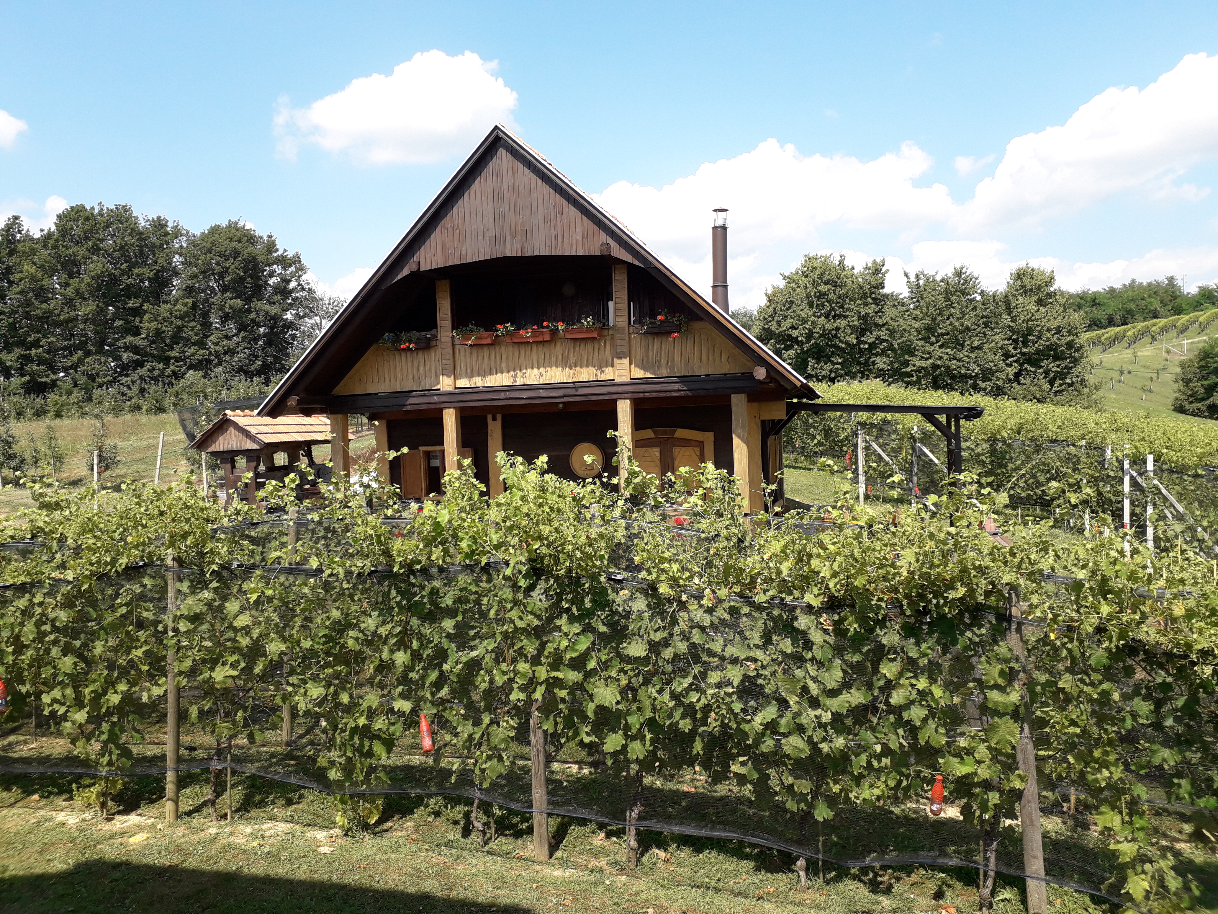 Božič T.